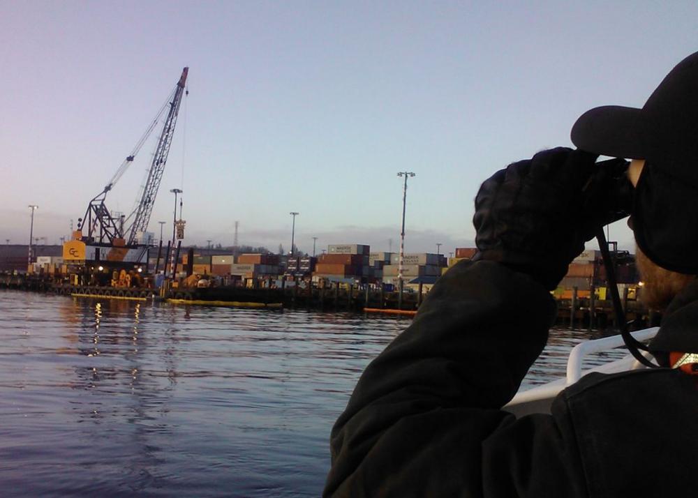 Marine mammal surveys during in-water work, Puget Sound, Washington